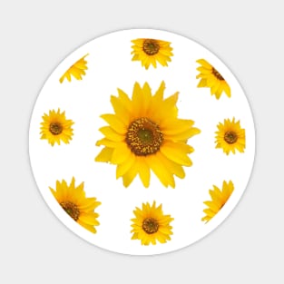 Sunflowers Bloom -  Hello Summer Magnet